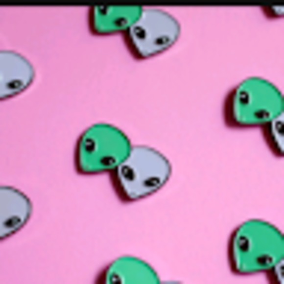 Meet your Posher, Daisy - Picture 1 of 1